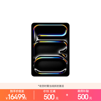 Apple/苹果 iPad Pro11英寸 M5芯片 2025年新款平板电脑 2T WLAN版 银色