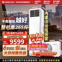 格力【价保618】空调5匹/2匹商用家用柜机清凉湾/凉之夏纯铜管大双排散热冷暖电辅热政采机型 六年免费包修 5匹 大双排散热