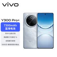 vivo Y300 Pro+ 8GB+128GB 星空银 国家补贴 7300mAh蓝海电池 第三代骁龙7s 金刚磐石架构 AI手机