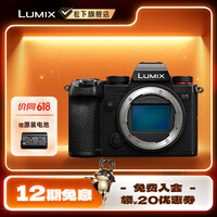 松下（Panasonic）Lumix S5 全画幅相机 L卡口 微单相机 无反数码相机 【单机身】