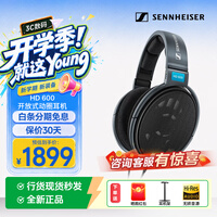 森海塞尔（Sennheiser） HD650/HD600/HD660S2/HD800S 经典开放式头戴式HIFI发烧耳机 立体声家庭影院 HD600 颜色