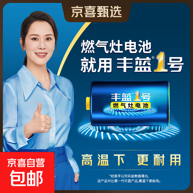 丰蓝1号燃气灶电池 R20P 1粒