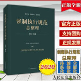 现货2020新书 强制执行规范总整理 李佳 人民法院出版 执行工作重点难点疑点执行规范法律法规汇编