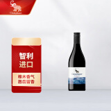 智利智象冰川经典美露干红葡萄酒 187ml单支