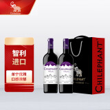 智象安第斯赤霞珠干红葡萄酒750ml双支礼盒