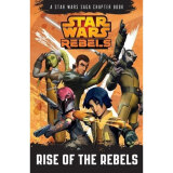 Star Wars Rebels: Rise of the Rebels...