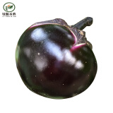 绿源禾心 有机圆茄子 产地直发 新鲜蔬菜约500g顺丰发货 500g