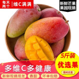 集年鲜海南贵妃芒果整箱当季热带正宗红金龙甜心多汁芒果新鲜水果 9斤甄选果 单果150-200g