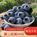 新鲜蓝莓水果125g*4盒大果单果15-18mm  新鲜水果