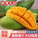 集年鲜广西青皮大芒果 青黄玉芒随机发 热带新鲜水果整箱送礼 净重4.5斤状元果（单果300起）