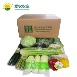 爱农 有机蔬菜 生鲜组合自由搭配 蔬菜套餐  2-3口之家 半年  配送26次