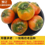 【顺丰】辽宁丹东铁皮西红柿 东北新鲜盐碱地草莓柿子绿腚柿子油柿子番茄健康轻食 5kg