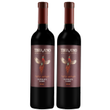 TBILVINO格鲁吉亚第比威诺经典萨别拉维“晚红蜜”干红葡萄酒原瓶进口 双支装