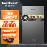 海顿（haydn）【新品】海顿燃气壁挂锅炉 地暖暖气片采暖炉家用 天然气恒温热水器两用晶悦系列 32KW (200-280㎡)