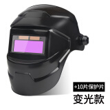 DS 头戴式自动变光电焊防护面罩/个