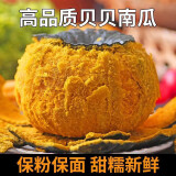 愉果（yuguo）山东潍坊贝贝小南瓜 新鲜蔬菜 5斤精选装