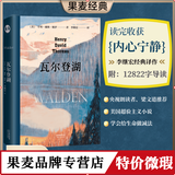 正版微瑕 瓦尔登湖 李继宏译 梭罗 梁文道推荐 译者李继宏作12822字导读 清华大学校长邱勇推荐 央视朗读者推荐 美国超验主义小说 外国文学 经典 果麦图书
