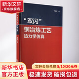 双闪 铜冶炼工艺热力学仿真