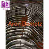 Aron Demetz: Only Counting the Winters 进口艺术 阿隆·德梅茨：只在冬天 Prestel
