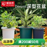 爱丽思（IRIS）花盆彩色Deepot深型加厚盆树脂圆口绿萝绣球月季铁线莲花塑料花盆 10号白（加深型） 单盆