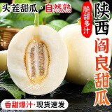 集年鲜陕西阎良甜瓜新鲜香瓜采摘香甜多汁生鲜水果 净重4.5斤优选