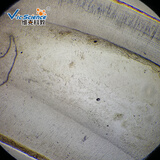 维克科教维克科教显微镜配件 口腔学 牙磨片 高等教育使用教学切片标本（可单买） 牙磨片5片装