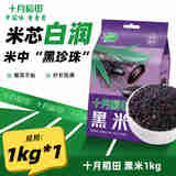 十月稻田 东北黑米1kg  东北 五谷杂粮 粥米