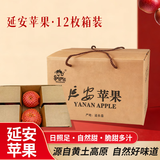 果哒哒（guodada）洛川苹果正宗陕西延安霜沁红富士25年新果自然熟高端礼盒产地直发 升级款12枚85-90mm