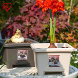 爱丽思（IRIS）花盆种球圆形花卉盆栽植物爱丽丝球根盆阳台塑料树脂朱顶红绿植盆 方形暖米色【7.6L】