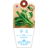 北京东升种业 （DS）蔬菜种子芥兰种子四季蔬菜家庭阳台 庭院种植200粒/袋