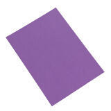 耐博（NAIBO） 彩色A4复印纸 粉色红色A4打印纸 办公手工剪纸彩纸 80g 100张 紫色