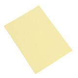 耐博（NAIBO） 彩色A4复印纸 粉色红色A4打印纸 办公手工剪纸彩纸 80g 100张 浅黄色