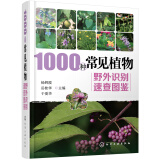1000种常见植物野外识别速查图鉴（精装、全彩图解、铜版纸）