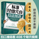 标准经络穴位技法图谱 穴位图人体经络穴位图养生书籍人体经络穴位按摩大全取穴用穴 传统技法