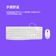 罗技（Logitech）MK120 【企业级】有线键盘鼠标套装 办公键鼠套装 电脑键盘 USB即插即用 黑色【团单优惠】