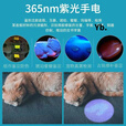 骆穂豆紫外线手电筒365紫光验钞伍德氏灯鉴定充电猫藓荧光剂检测笔 无规 升级版365nm黑镜UV紫光灯可充电