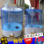 养护箱加湿器40B标养箱专用加湿器超声波恒温恒湿养护箱加湿 水箱一个