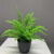 JDNXX仿真小植物把束室内装饰假花婚庆塑料布置花假绿植尤加利波斯草 （35cm高）苹果叶单束 （不含盆