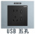罗格逸景86型墙壁黑色开关插座面板一开五孔usb暗装带开关 五孔USB插座(新国标)