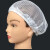 盛世浩瀚透气网帽男女通用无尘车间防掉头发工厂工作帽帽艾灸浴帽可水洗头 (粉色)10个