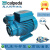 莎庭（SARTILL）意大利Calpeda科沛达CTM61CT60NGX4数控机床冷却泵增压循环水泵 CTM61--单相220V