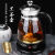 墨仚京安化黑茶煮茶器全自动家用煮茶壶蒸茶器蒸汽小小型办公室养生茶壶康猫 【不锈钢】保温
