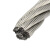 曲珞 不锈钢钢丝绳 5mm 包塑，材质：304 钢隋 单位：米