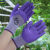 工用女士款小号手套 种花园艺搬货耐磨防割防滑透气乳胶薄款手套 24双419倍儿爽手套 紫纱紫 均码