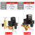 惠世达 储气罐电子自动排水阀定时器开关空压机4分放水连体OPT分体AC220V 单独线圈(AC220V) 