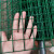 铁丝网围栏养殖网小网格铁网防鸟网鸡笼子拦鸡网栅栏网隔离护栏网 透明 1.5高1.8粗20米长