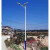 新农村路灯锂电池 5米6米大功率乡村户外双头LED高杆灯 50W灯具
