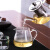 金灶（KAMJOVE）缘玻璃茶具套装家用茶杯功夫茶耐热耐高温泡茶神器简约过滤小型 透明把八骏壶6个把杯+绿柄公杯