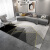 初构想（CHUGOUXIANG）现代地毯客厅简约轻奢茶几毯北欧卧室沙发2024新款家用地垫 简约12号款 140cmx200cm
