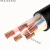 国标铜芯YJV2 3 4 5芯10 16 25 35平方室外工程电力电缆 电缆线 YJV2芯25平方(10米)
